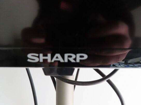 SHARP 65" fladskærm