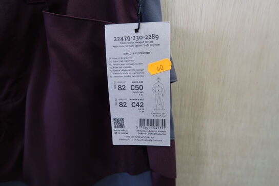 Bukser str. C50 MASCOT Model: 22479-230-2289