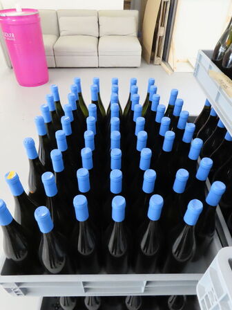 Ca. 50 flasker vin i plastkasse, (Smooth & Buttery), alkoholfri vin
