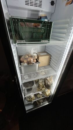 DisplayKøleskab VIBOCOLD VD372