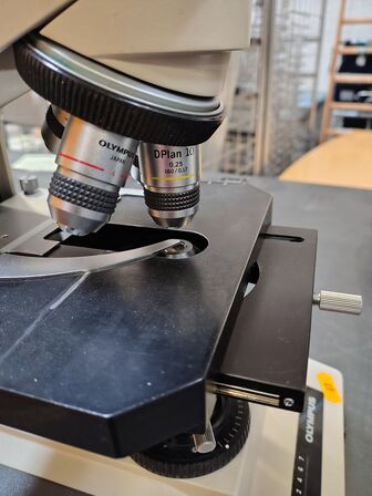 Microskop OLYMPUS BH2