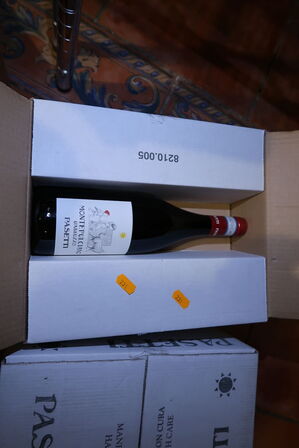 6 flasker rødvin MONTEPULCIANO DABRUZZO PASETTI 2018