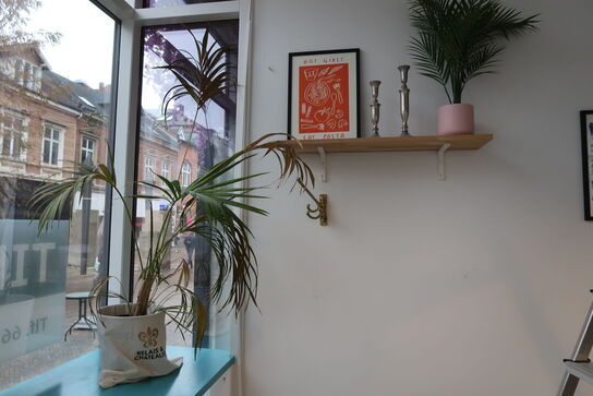 Div. Planter, hylde, plakat, sidebord, lanterner, lysestager m.m.