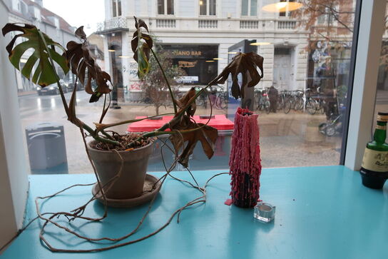 Div. Planter, hylde, plakat, sidebord, lanterner, lysestager m.m.