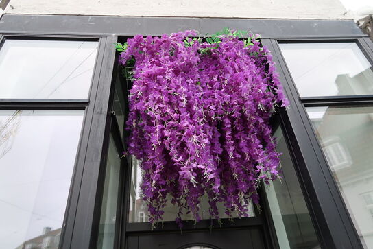 Udendørs hængeplante