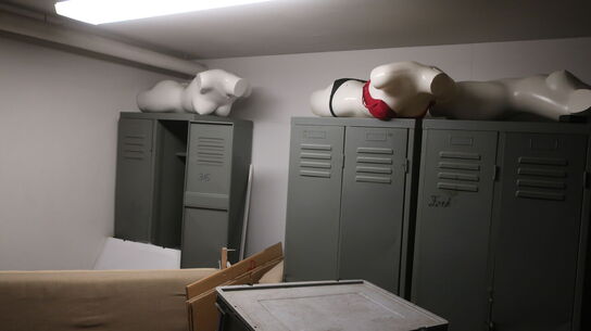 Tøm Kælderrum ( se billeder)