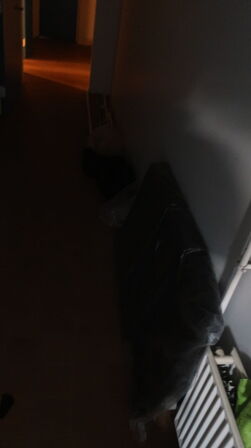 Tøm Kælderrum ( se billeder)