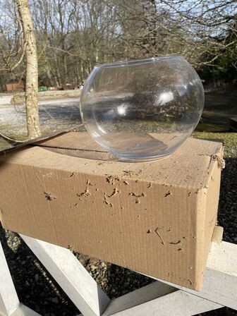 2 stk. Glasbowler (læs beskrivelse)