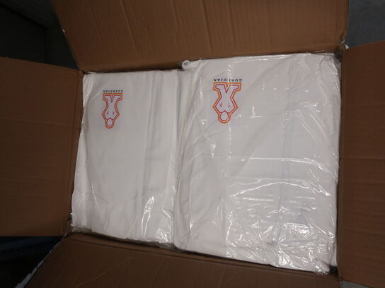 Heldragt GUARDIAN CLASSIC type 5/6 3XL (50 stk.)