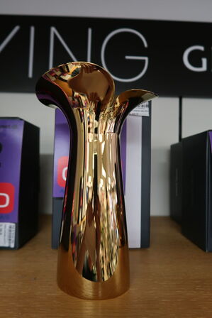 Georg Jensen Bloom Botanica vase messing 22 cm