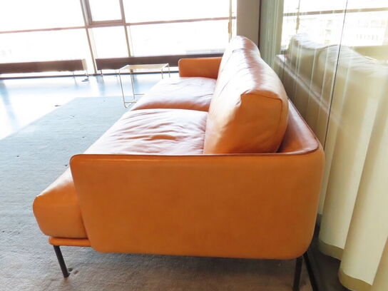 Loungesofa, ADEA Baron