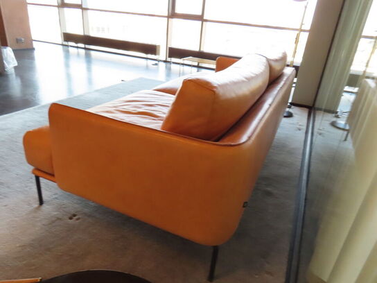 Loungesofa, ADEA Baron