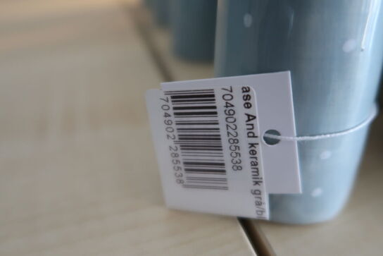 5 stk. vaser SPEEDTSBERG