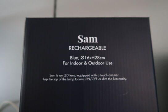 LED-Lampe SIRIUS Sam