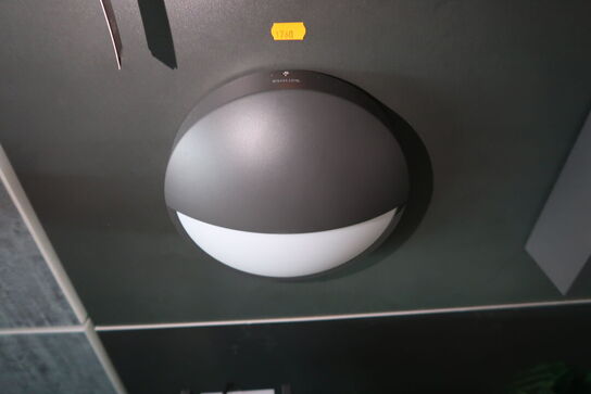 Udendørslampe PHILIPS Arbour Lantern