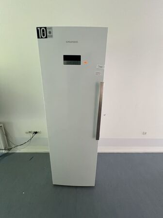 Fryseskab GRUNDIG F60312NE