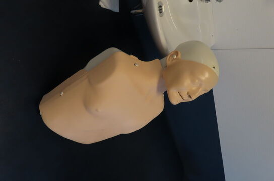 4 stk. træningsdukker - øvre torso mand