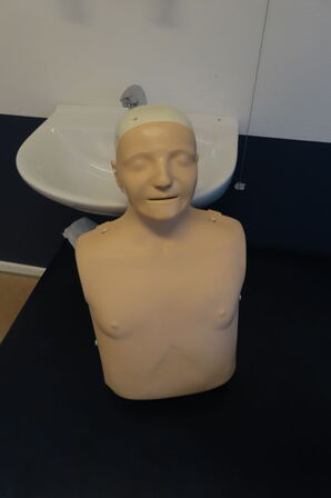 4 stk. træningsdukker - øvre torso mand