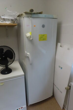 Fryseskab ELECTROLUX EUF2300