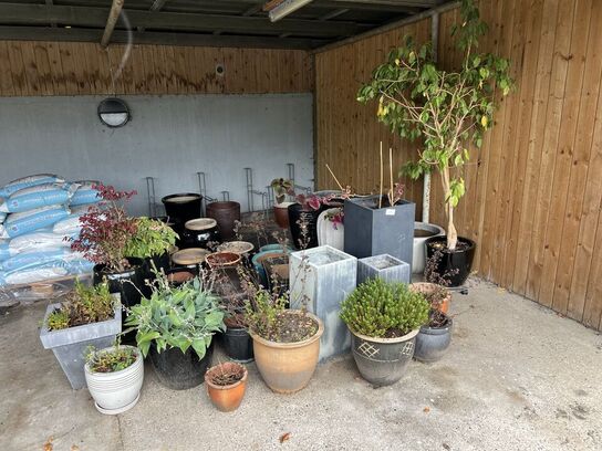 Div. krukker og planter 