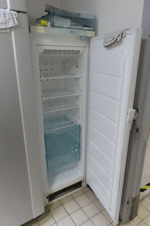 Fryseskab ELECTROLUX EUF2300