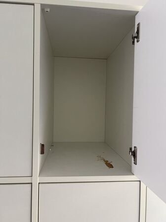 Skab m. aflåselige rum (engangskoder) 50x200x160 cm