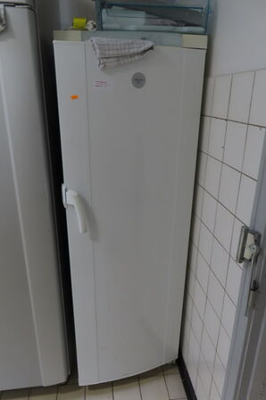 Fryseskab ELECTROLUX EUF2300