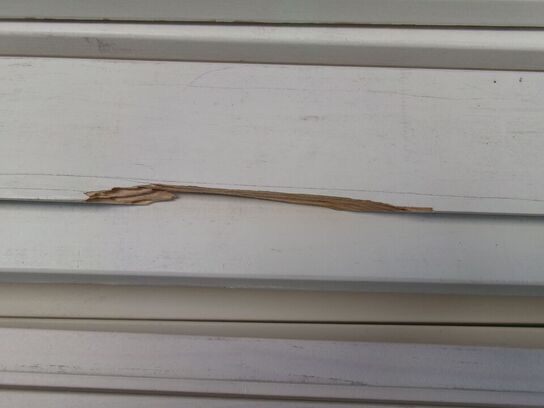 Diverse lister, hvide