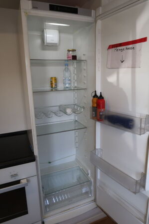 Køleskab ELECTROLUX ERE4118A0W