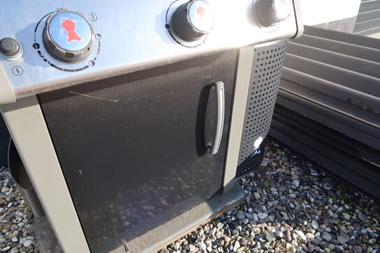 Gasgrill WEBER Spirit