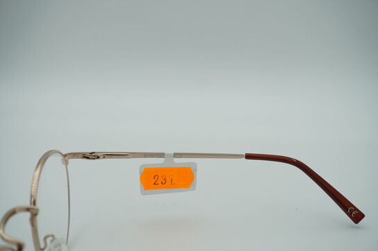 Læsebriller PREGO 6203-01 +1.00