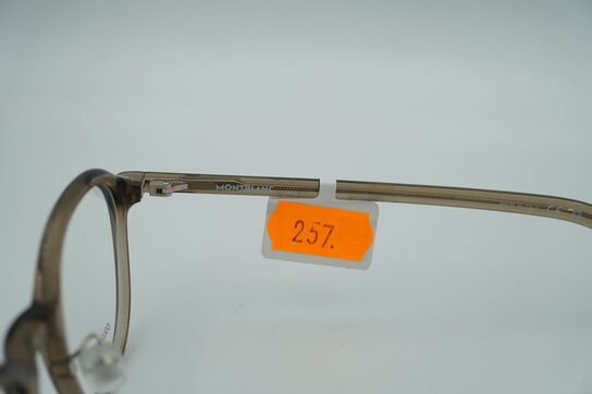 Brillestel MONT BLANC MB0419OJ