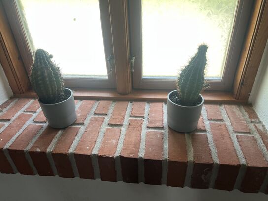 Div. planter (se billeder)