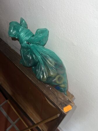 Bob-spil inkl. 2 stk. kø, brikker m.v.