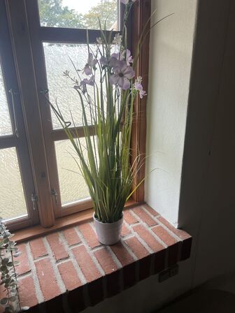 Div. planter (se billeder)