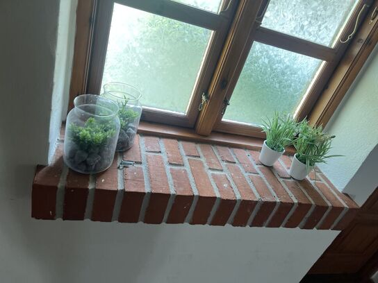 Div. planter (se billeder)