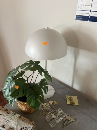 Skrivebord m. kontorstol, lampe & plante
