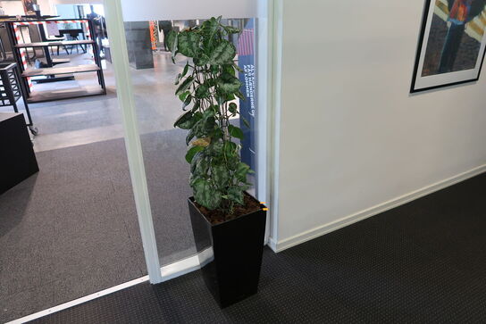 2 stk. planter i krukke