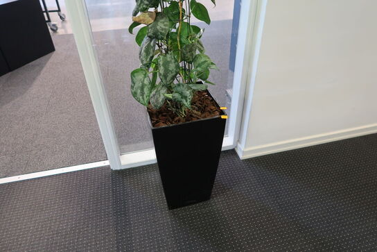 2 stk. planter i krukke