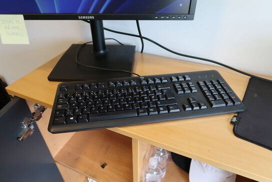 Computerskærm SAMSUNG S24E450 samt tastatur