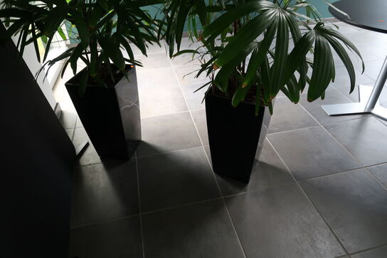 2 stk. planter i krukker