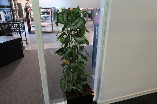 2 stk. planter i krukke