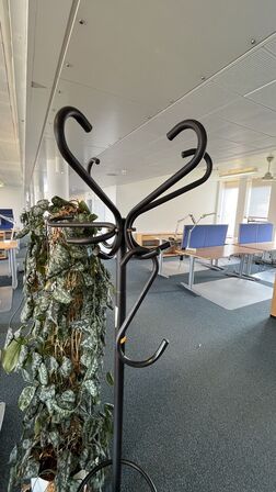 Plante og stumtjener