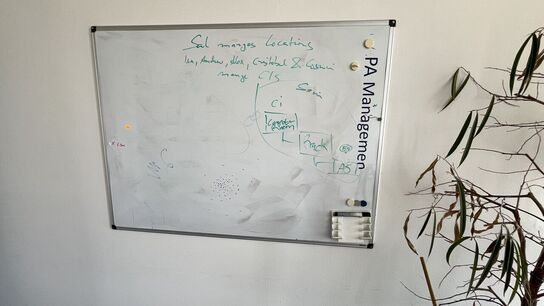 Whiteboard og Plante i plastkrukke