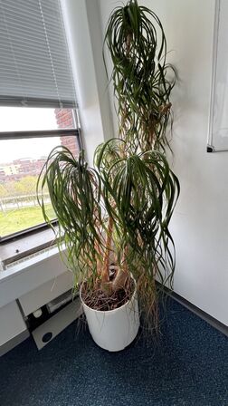 Tøm rummet 