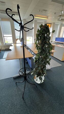 Plante og stumtjener