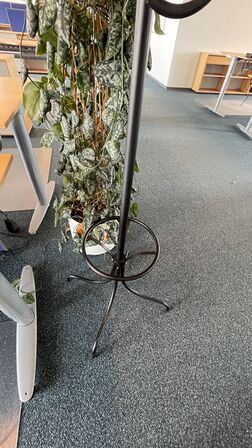 Plante og stumtjener