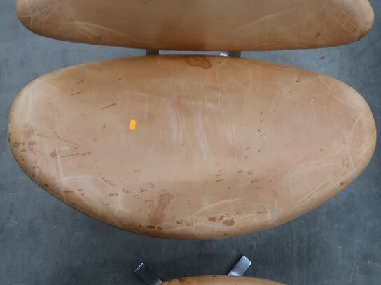 Coronastolen med skammel ERIK JØRGENSEN