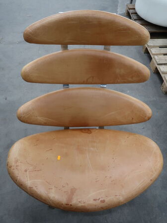 Coronastolen med skammel ERIK JØRGENSEN