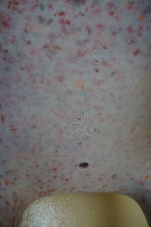 Børnestol ECOBIRDY CHARLIE CHAIR